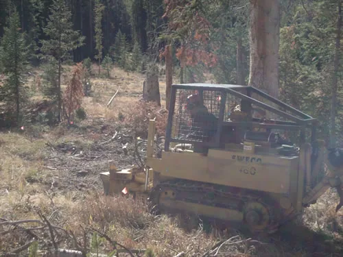 A tracked trail dozer works a cleared corridor through a thinned conifer forest scattered with cut slash.