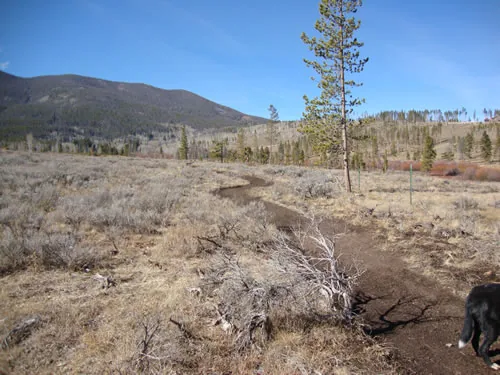 A narrow ribbon of new singletrack winds through sagebrush toward a forested mountain under a clear blue sky.