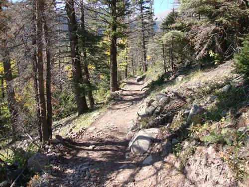 A completed trail bench edged with placed rock traverses a forested slope of conifers and dry grass.