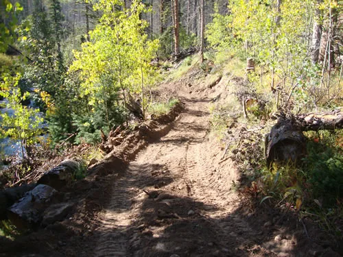 A fresh trail bench cut into a hillside runs past young golden aspens beside a shaded drainage.