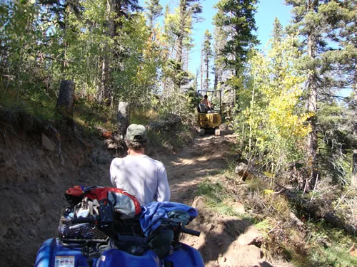 A crew member walks up a newly cut trail toward a mini excavator working ahead, framed by golden aspens.