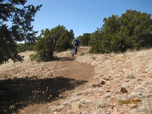 Freshly cut singletrack curving through dry grass and juniper with a mountain biker riding it in the distance