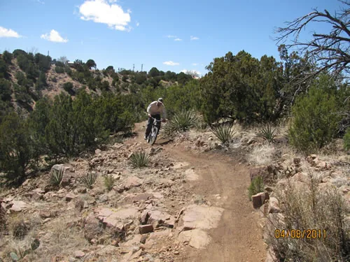 Singletrack trail edged with native rock curving through yucca and juniper, a mountain biker approaching in the distance