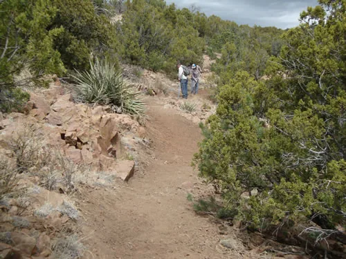 Newly built trail tread climbing past a rock outcrop and yucca with two hikers walking in the distance